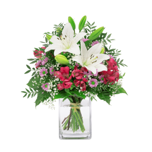 Fröhlich und aufgeweckt