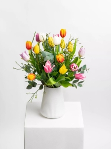 Frisch und Fröhlich