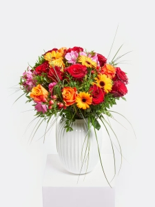 Leuchtendes-Feuerwerk