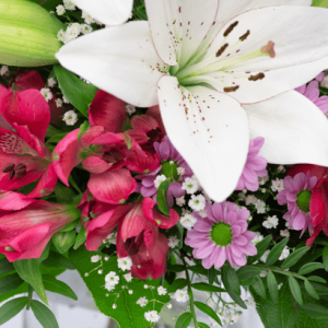 Fröhlich und aufgeweckt