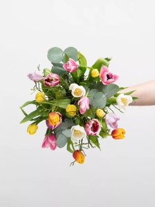 Frisch und Fröhlich