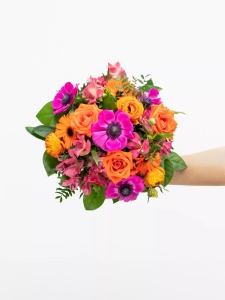 Erste Sonnenstrahlen