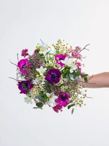 Erster Frühlingsmorgen