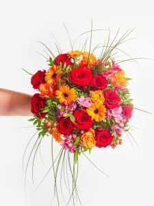 Leuchtendes-Feuerwerk