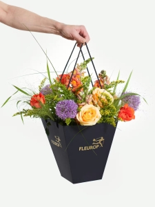 Sonnengeküsst