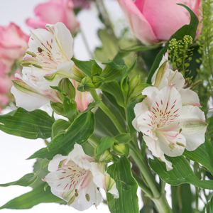 Sweets for my Sweety